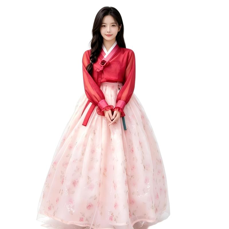 Modern Korean Hanbok for Women - Hanbok Modern Set recension och pris